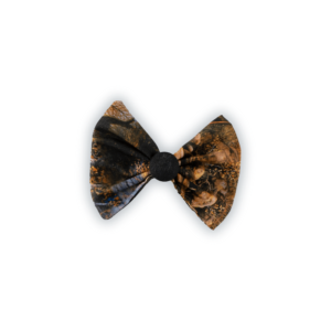 Bow - Forest Scenic Print